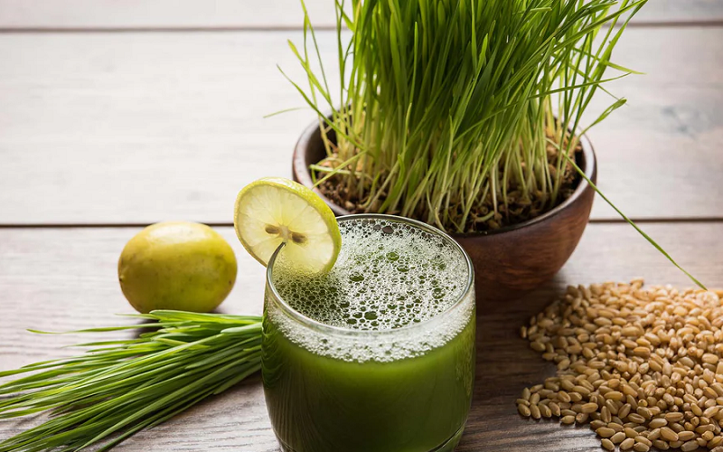 Barley Grass Provides an Incredible Array of Health Benefits