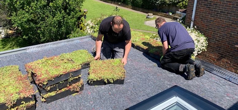 creating a green roof