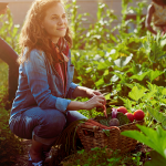 urban gardening sustainable agriculture