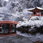 zen japans temples and gardens