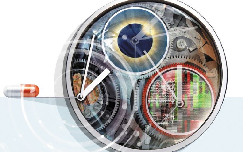 The Role of Chronobiology in Personalized Medicine