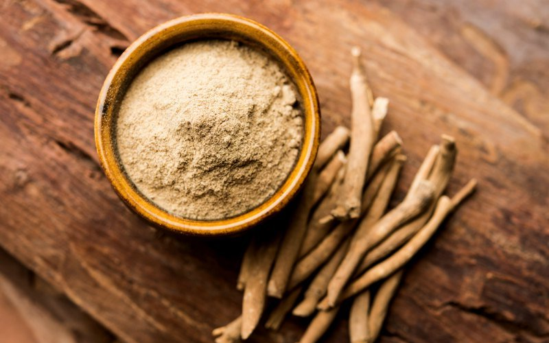 Ashwagandha Is the Ayurveda Treatment for Anxiety and Stress