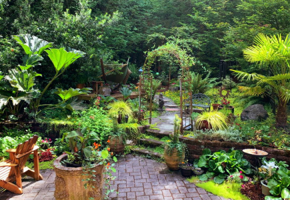 How You Can Create the Ideal Microclimate in Your Garden