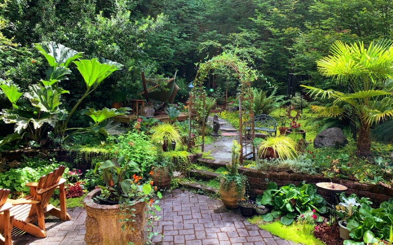 How You Can Create the Ideal Microclimate in Your Garden