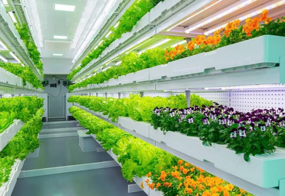 Indoor Garden Farming Becoming Popular and Mainstream