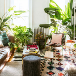 plants improve indoor air quality