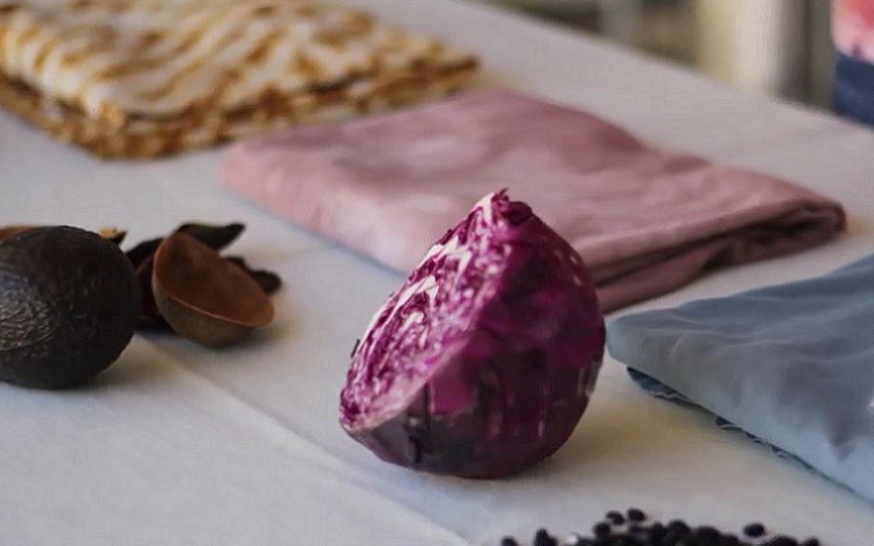 Natural Dyeing: Using Plants and Food to Create Beautiful Colors on Fabric