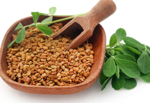 Fenugreek Seed Extract: A Natural Solution for Blood Sugar Control